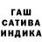 Канабис сатива Maho 173